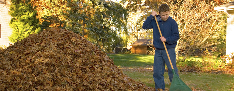 A teen boy raking leaves in the fall.